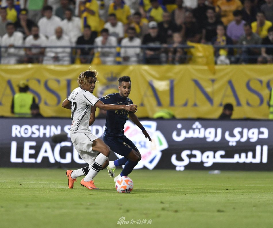 这篇文章的 这篇文章的