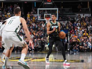 替代的一环 替代的一环